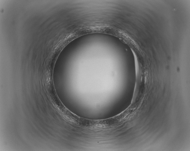 X0000078830593200611271259