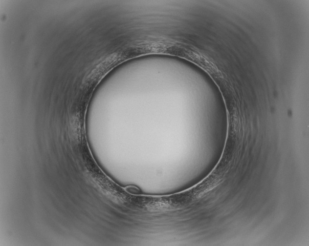 X0000078830594200611271259