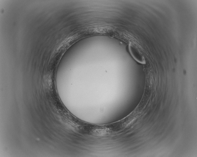 X0000078830595200611271259