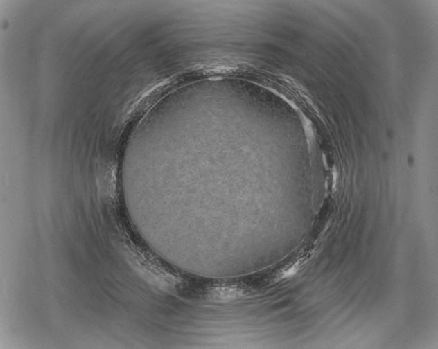 X0000078830596200611271259