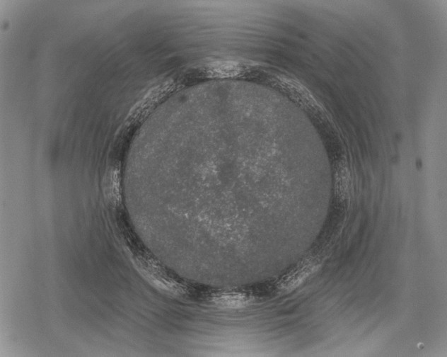 X0000078830598200611271259