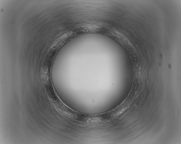 X0000078830599200611271259