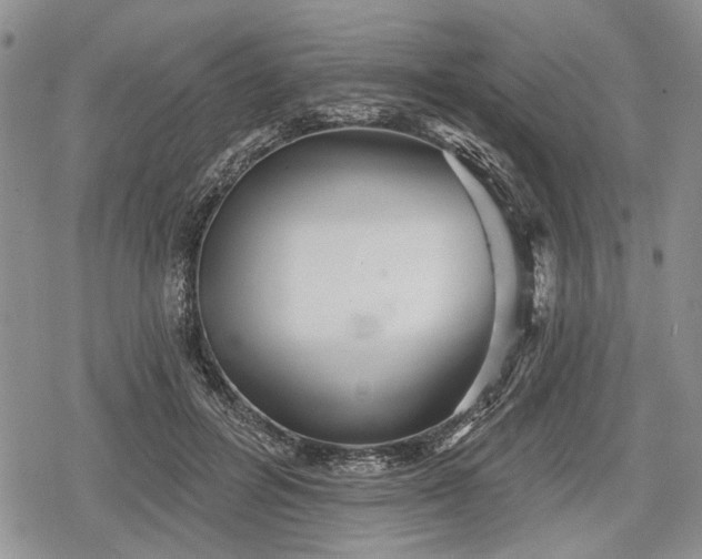 X0000078830600200611271259