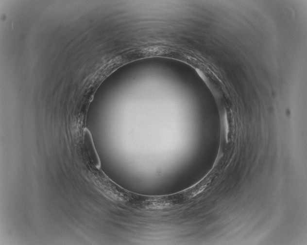 X0000078830601200611271259