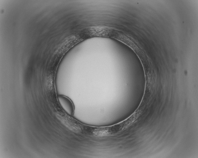 X0000078830602200611271259