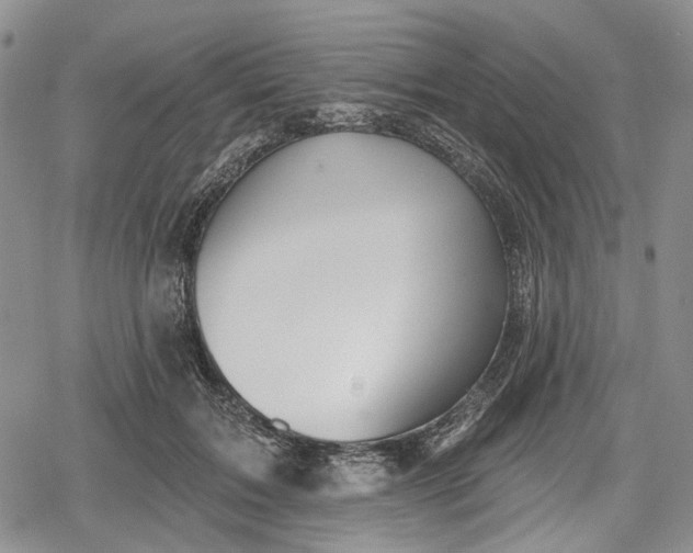 X0000078830603200611271259