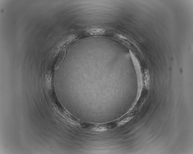 X0000078830604200611271259