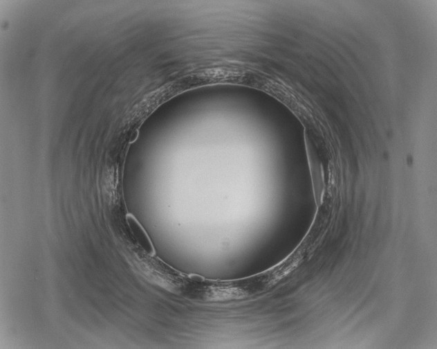 X0000078830605200611271259