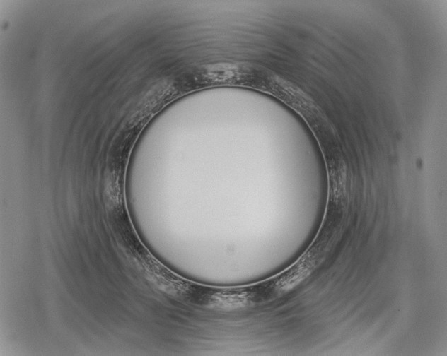 X0000078830606200611271259