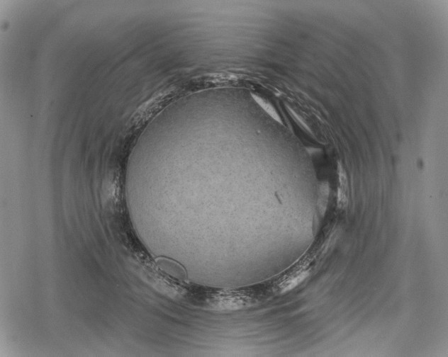 X0000078830608200611271259