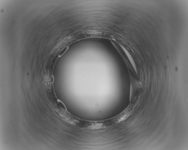 X0000078830609200611271259