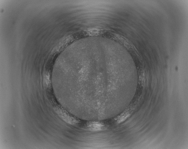 X0000078830610200611271259