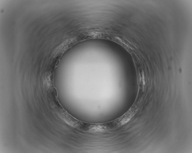 X0000078830611200611271259