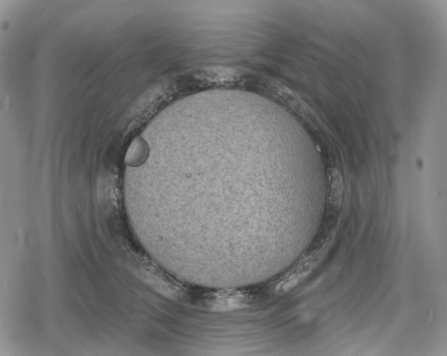 X0000078830612200611271259