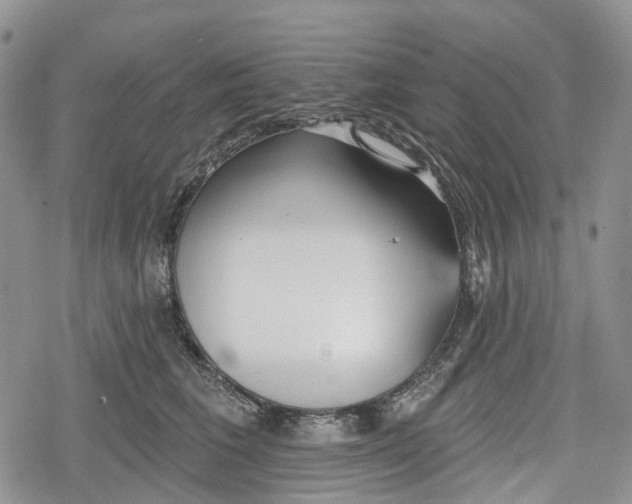 X0000078830613200611271258