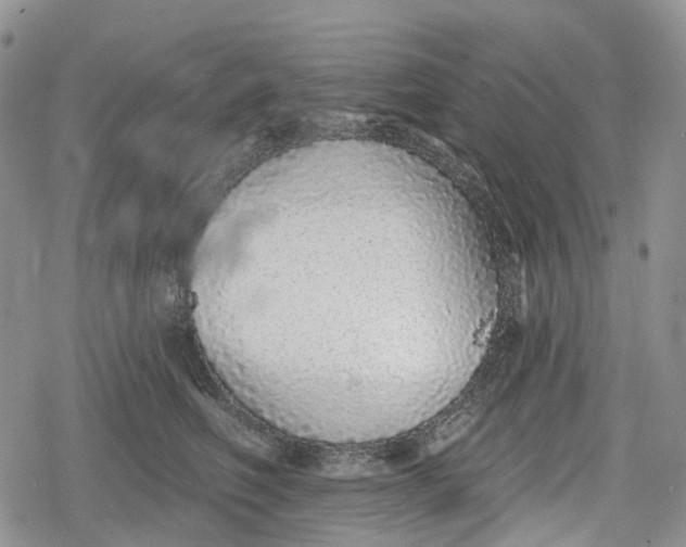 X0000078830614200611271258