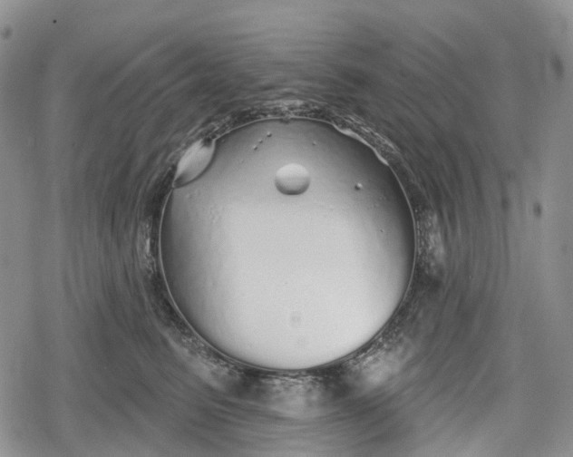 X0000078830615200611271258