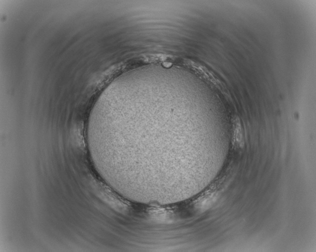 X0000078830616200611271258