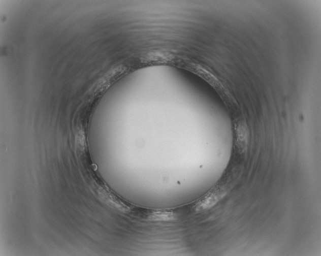 X0000078830617200611271258