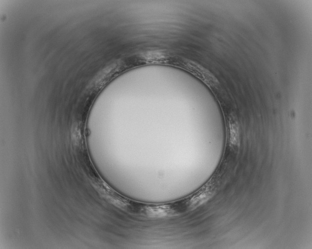 X0000078830618200611271258