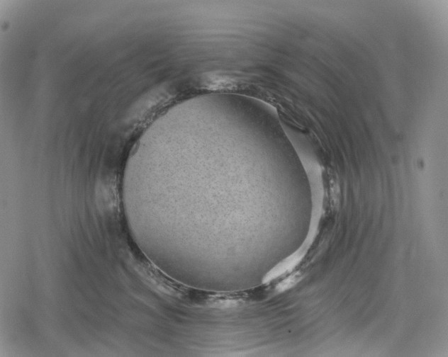 X0000078830620200611271258