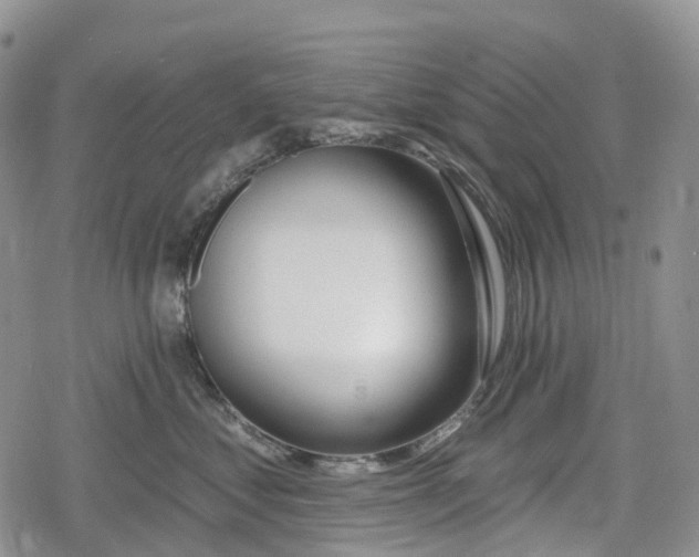 X0000078830621200611271258