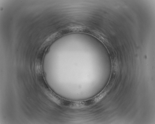 X0000078830622200611271258