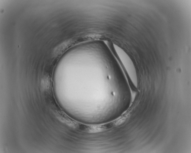 X0000078830623200611271258