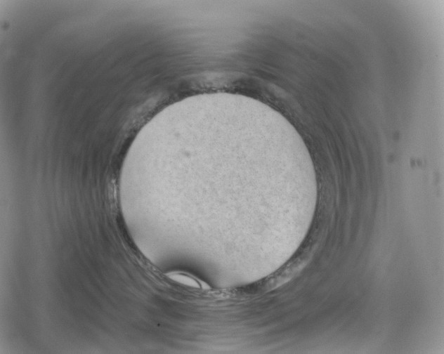 X0000078830624200611271258