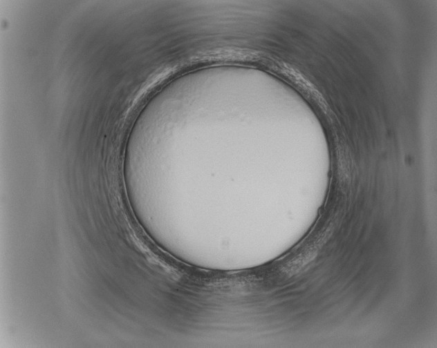 X0000078830625200611271258