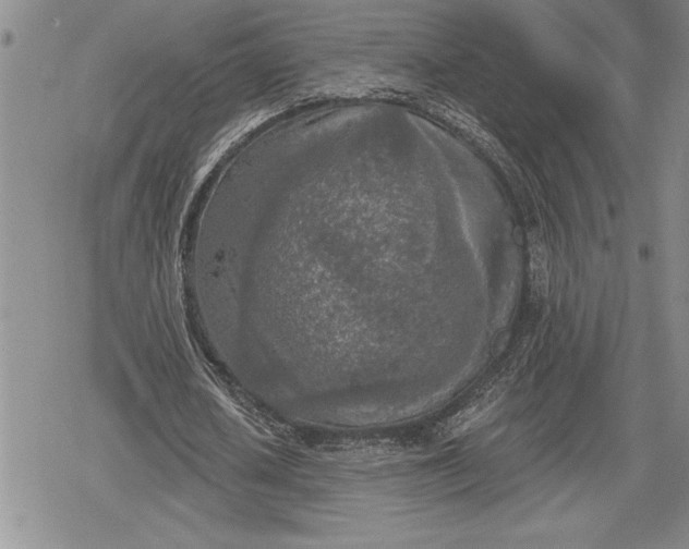 X0000078830626200611271258