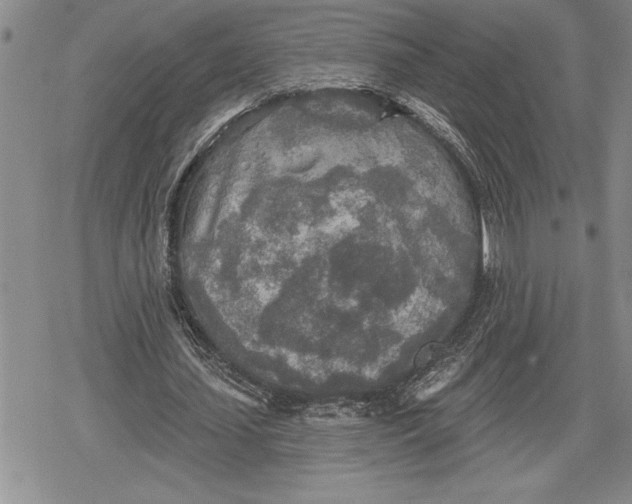 X0000078830627200611271258