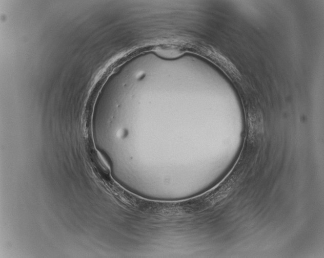 X0000078830628200611271258