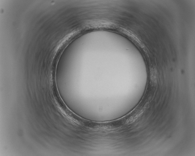 X0000078830629200611271258