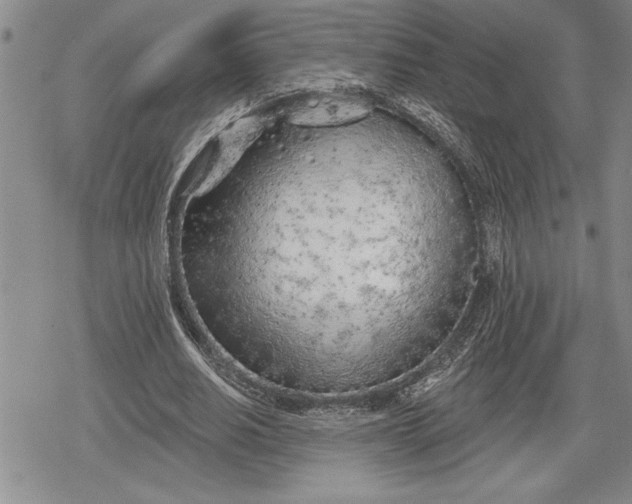 X0000078830630200611271258