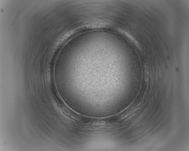 X0000078830631200611271258