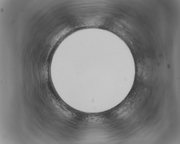 X0000078830632200611271258