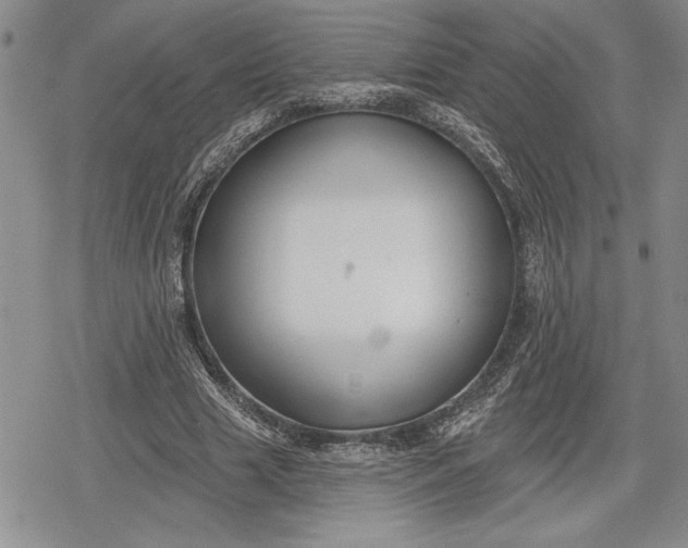 X0000078830633200611271258