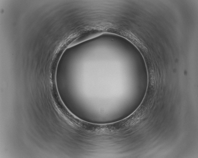 X0000078830634200611271258