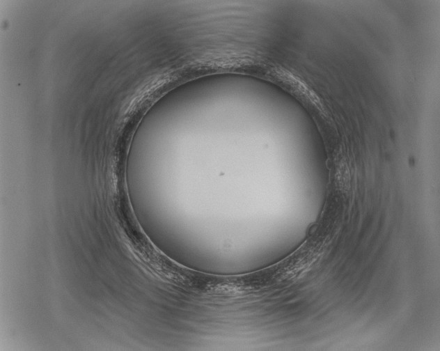 X0000078830635200611271258