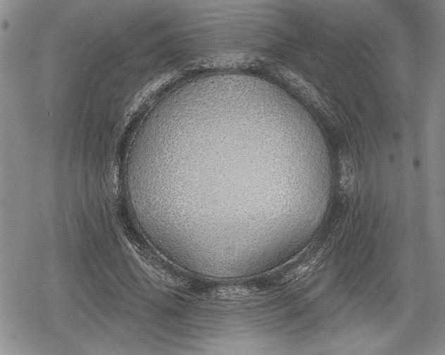 X0000078830636200611271258