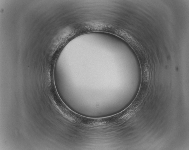 X0000078830638200611271258