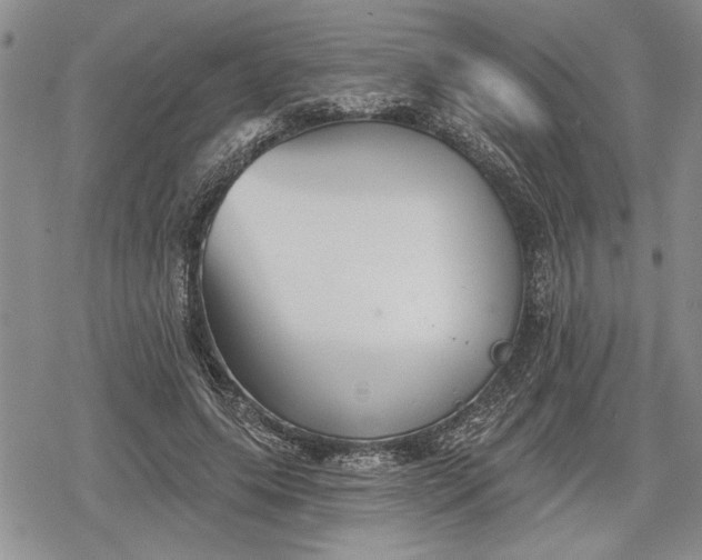 X0000078830639200611271258