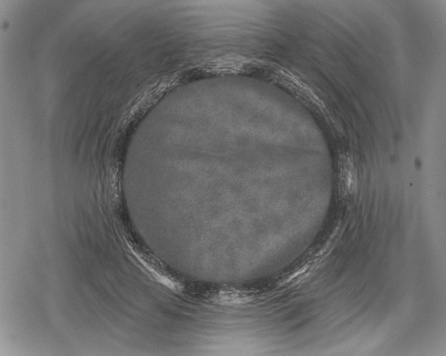 X0000078830641200611271258