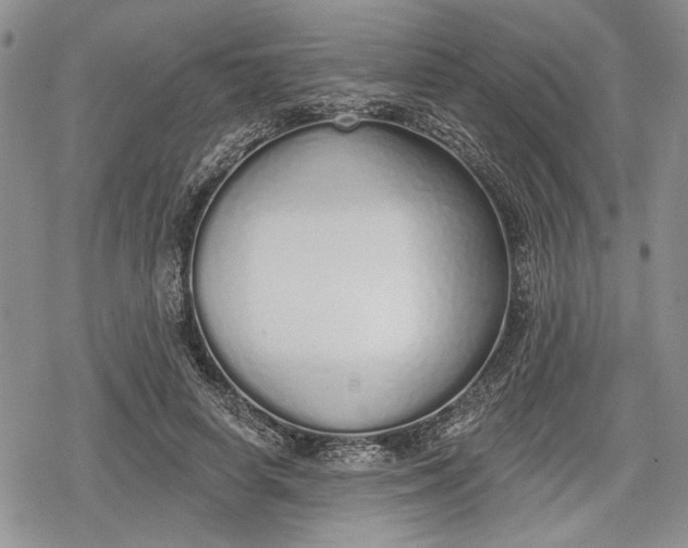 X0000078830642200611271258