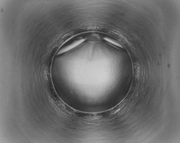 X0000078830643200611271258