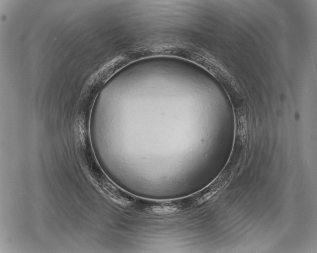 X0000078830644200611271258