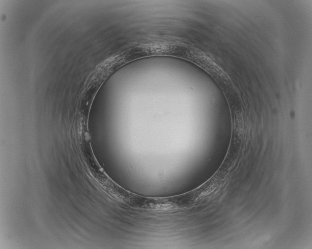 X0000078830645200611271258