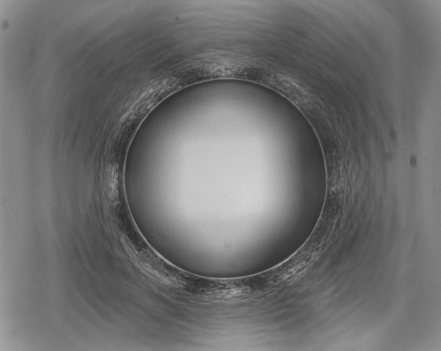 X0000078830646200611271258