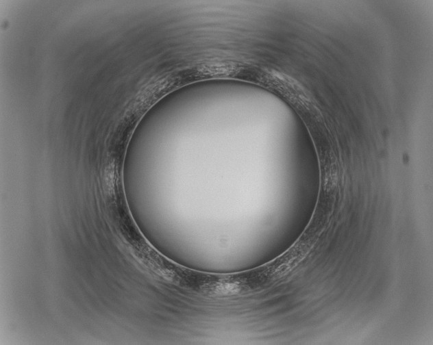 X0000078830647200611271258